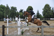 Xavier BREUZE - BREUZE XAVIER